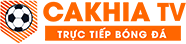 kích thước sân cầu lông